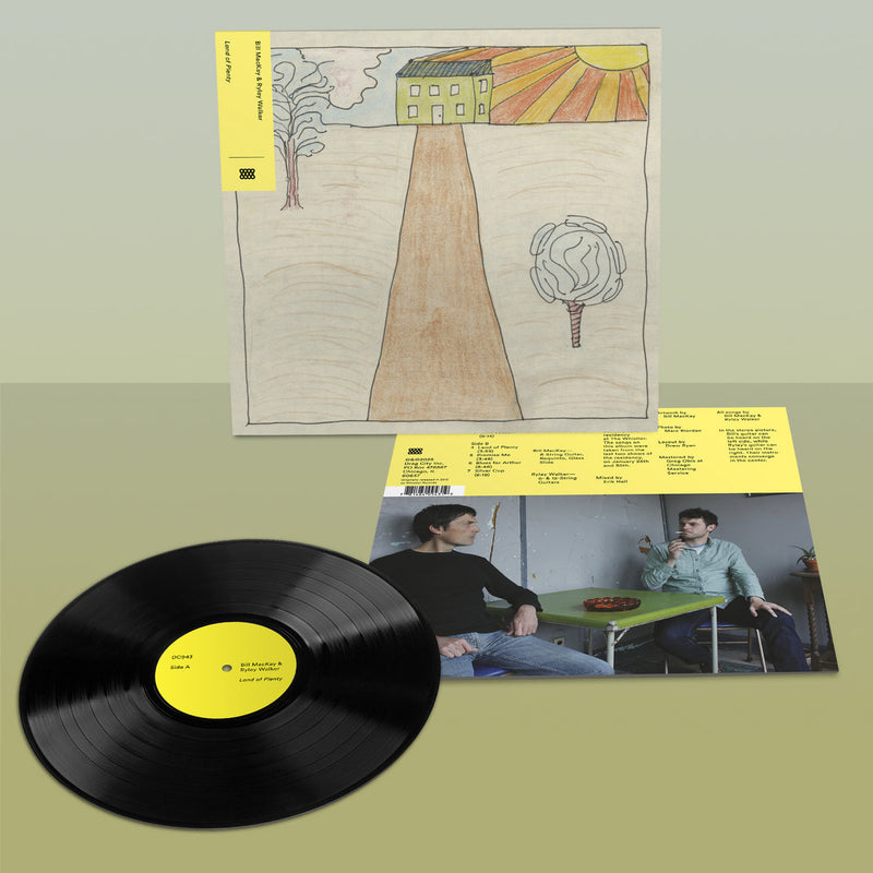 Bill MacKay & Ryley Walker - Land of Plenty (LP) – Meditations