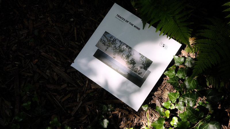 Petre Inspirescu -  Traces of the wind (2LP)