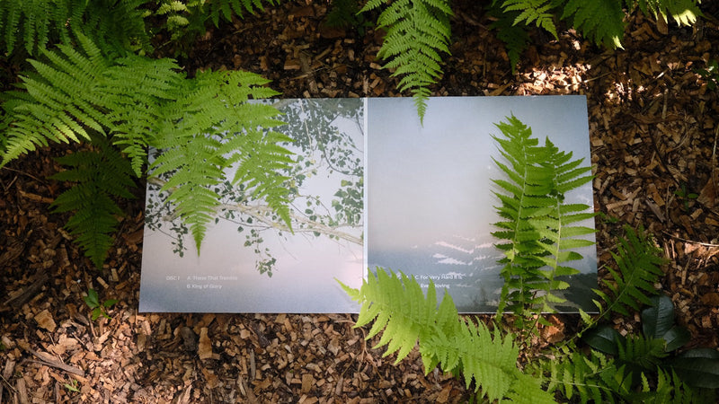 Petre Inspirescu -  Traces of the wind (2LP)