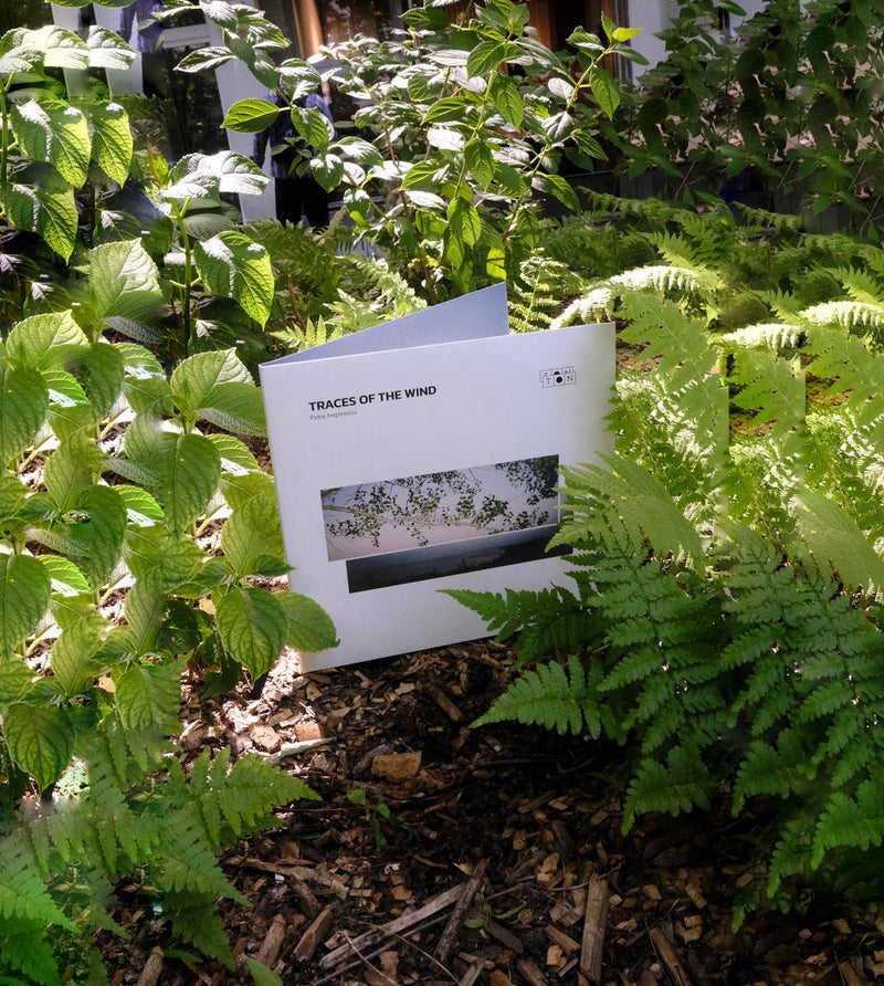 Petre Inspirescu -  Traces of the wind (2LP)