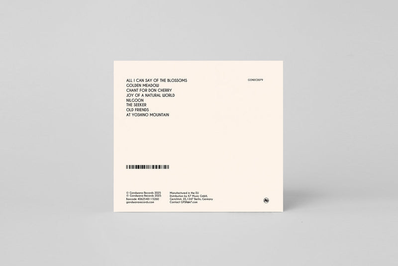 Ancient Infinity Orchestra - It's Always About Love (CD)