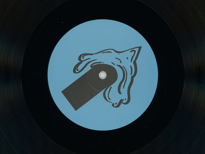 Patrick Holland -  I Want To Believe (LP)