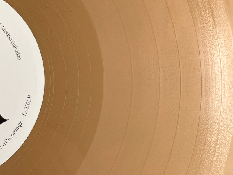 横田進 Susumu Yokota -  Image 1983-1998 (Skintone Edition) (warm beige vinyl LP)