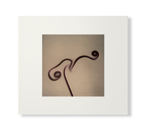 横田進 Susumu Yokota -  Image 1983-1998 (Skintone Edition) (CD)