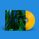 Anushka Chkheidze + Robert Lippok - Uncontrollable Thoughts (LP)