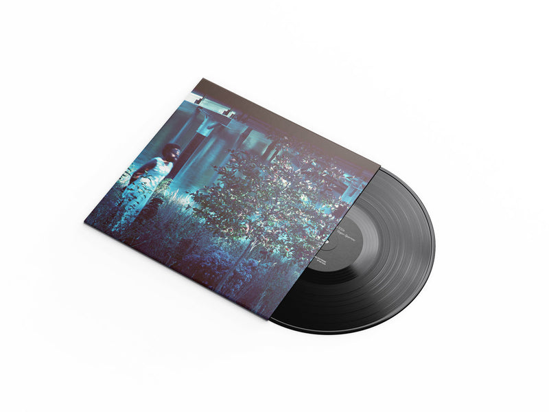 JJJJJerome Ellis -  Vesper Sparrow (LP)