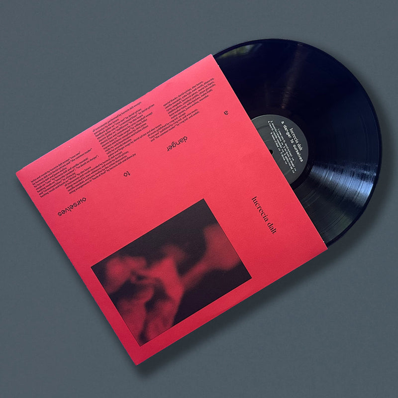 Lucrecia Dalt - A Danger to Ourselves (LP)