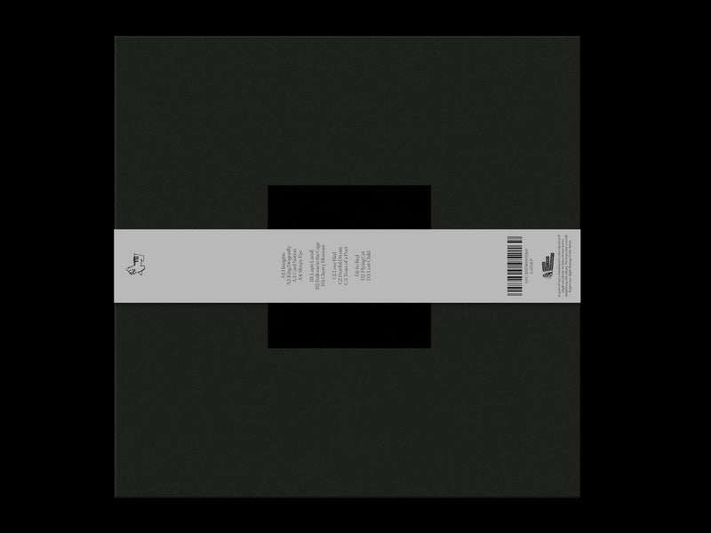 横田進 Susumu Yokota - Grinning Cat (Skintone Edition) (2LP