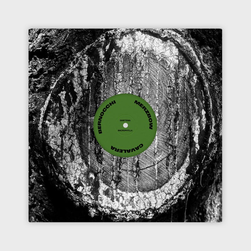 Eraldo Bernocchi, Iggor Cavalera, & Merzbow - Nocturnal Rainforest (LP)