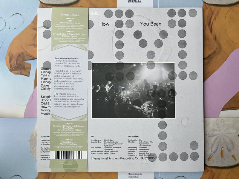 SML - How You Been (Plankton Vinyl LP)