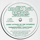 Prince Istari - Riddim Dub School 9th Grade (12")