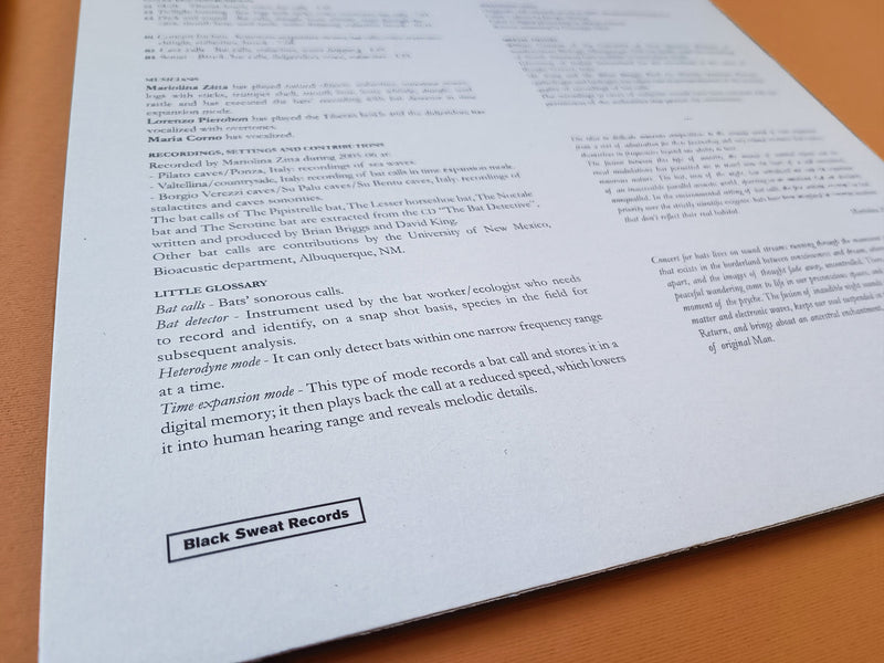 Mariolina Zitta - Concert For Bats, Voices And Natural Sounds (LP)