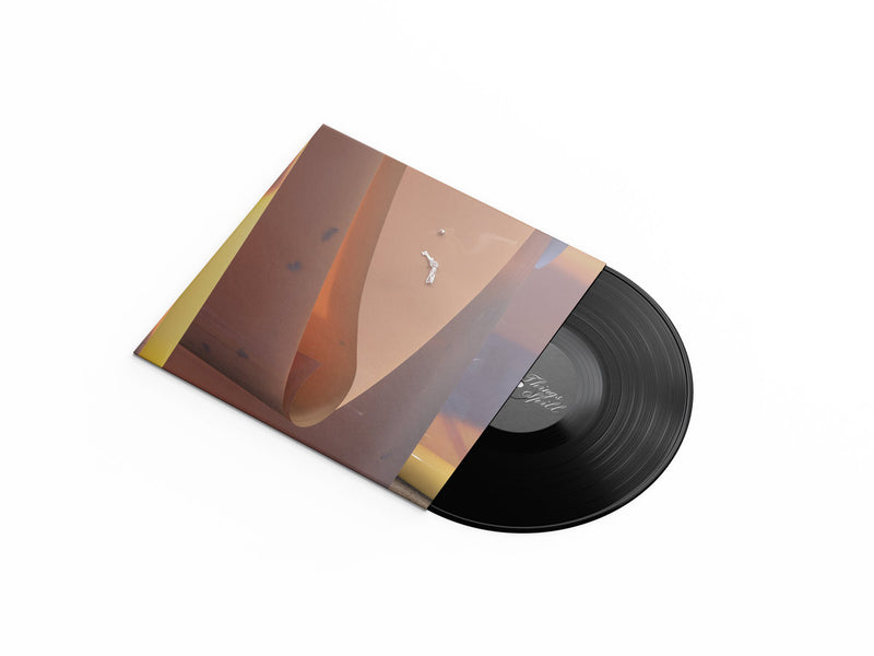 Chantal Michelle - All Things Might Spill (LP)