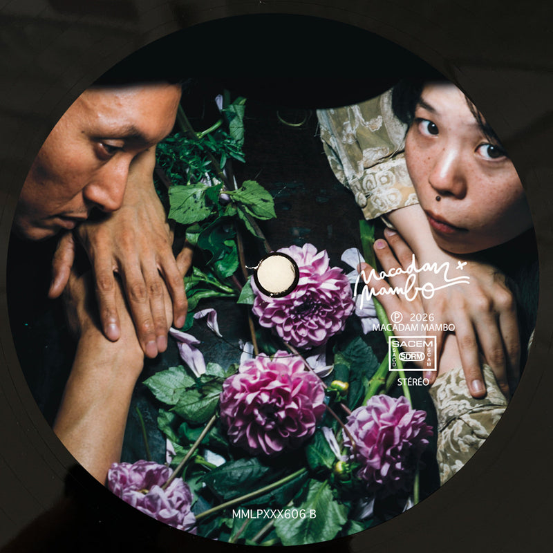 Heavenphetamine - The Sun On A Winter Day (LP) – Meditations