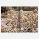 EXLRUTH - Romeo's Fall (CS+Book)