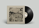 Carol Maia & Jeremy Gustin - it's nice to see a lake in your eyes (LP)