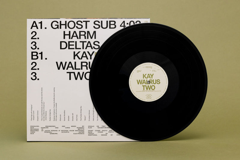 Rosenau & Sanborn - Two (LP) – Meditations