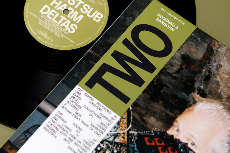 Rosenau & Sanborn - Two (LP) – Meditations