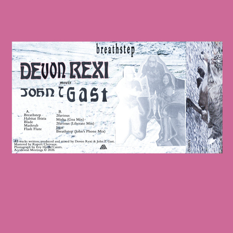 Devon Rexi meets John T. Gast - Breathstep (LP) – Meditations