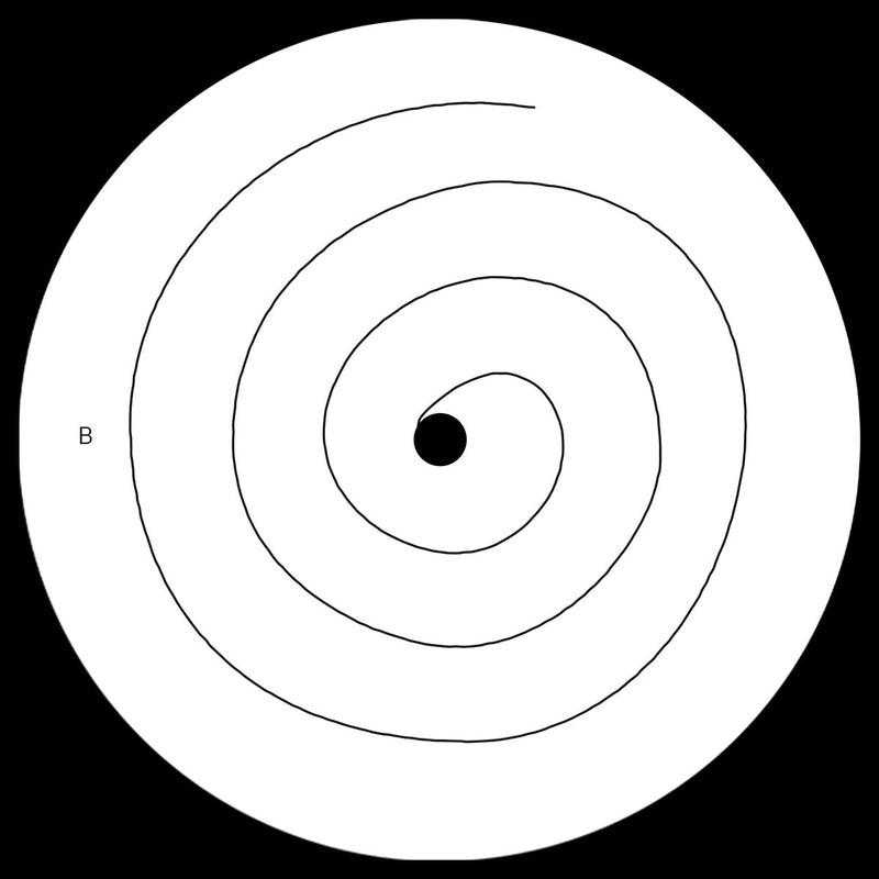 Ricardo Villalobos & Mohammad Reza Mortazavi - Swamp (Ricardo