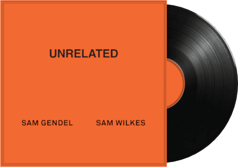 Sam Gendel Sam Wilkes vinyl レコード 洋楽