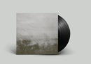Loren Connors and David Grubbs - Somewhere in the Wind (LP)