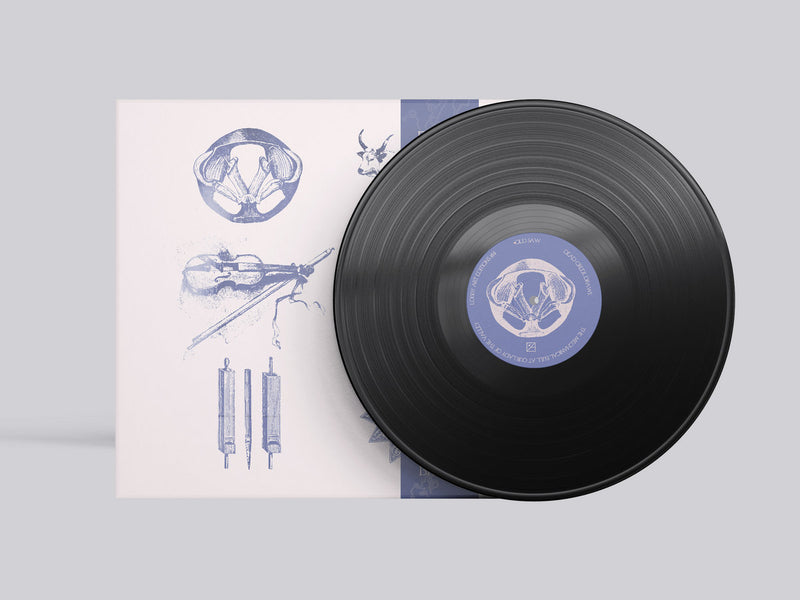 OLD SAW Country Tropics LP レコード Old Saw - Country Tropics (LP) – Meditations