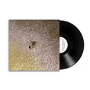 Frances Chang - been thinking bout confession (LP)