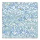 Emily A. Sprague - Cyano (LP)