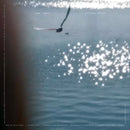 Victoria Mingot - God Spill (12")