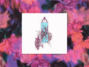 sachi's mirror - Talking in a Different Way (CD+DL)