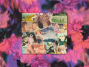 Grandma Love (CD+DL)