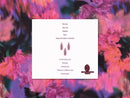 sachi's mirror - Talking in a Different Way (CD)