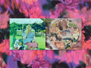 Grandma Love (CD)