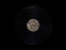 Hallucinator - Landlocked (2LP)