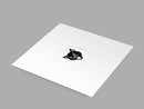 Will Long - Within a Zoo Hypothesis (12")