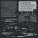 Enno Velthuys - Music From The Other Side Of The Fence (LP)