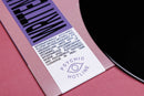 Nicole Mitchell & Joe Westerlund - Written in the Universe (LP)