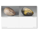 BRANCUSI by Constantin Brancusi (Book)
