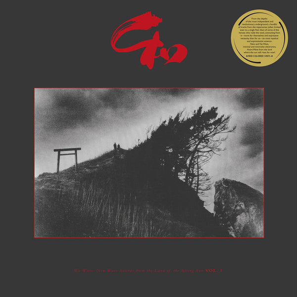 V.A. - Wa Wave: New Wave Sounds from the Land of the Rising Sun