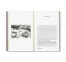 At the Limits of the Gaze: Selected writings by Takuma Nakahira 中平卓馬 (Book)