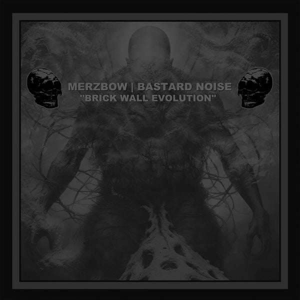 Merzbow | Bastard Noise - Brick Wall Evolution (LP) – Meditations