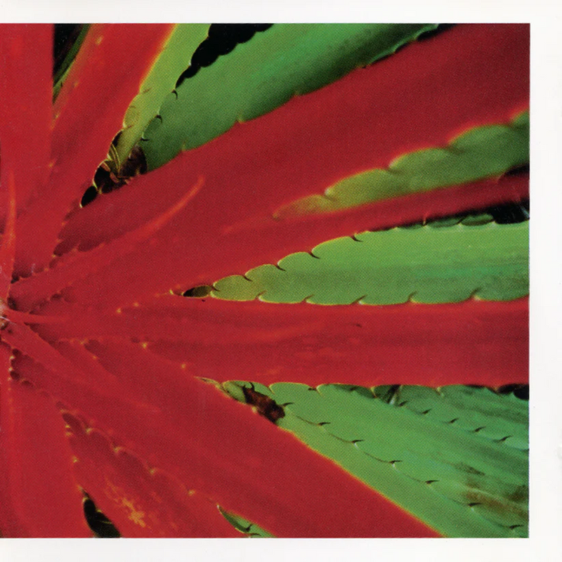 Jejune - This Afternoons Malady (2LP)