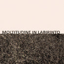 Gigi Masin & Giuseppe Caprioli - Moltitudine in labirinto (Clear Vinyl LP)