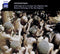 V.A. - 中央アフリカ~アカ・ピグミーの音楽のアンソロジー (2CD)