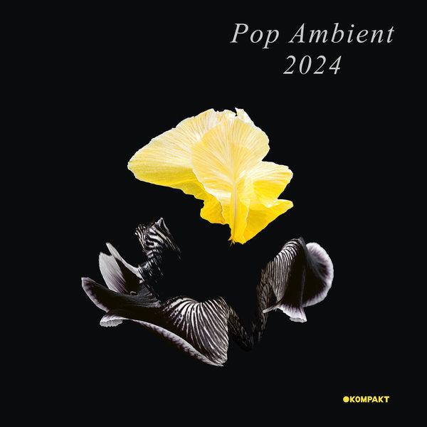 V.A. - Pop Ambient 2024 (LP+DL)