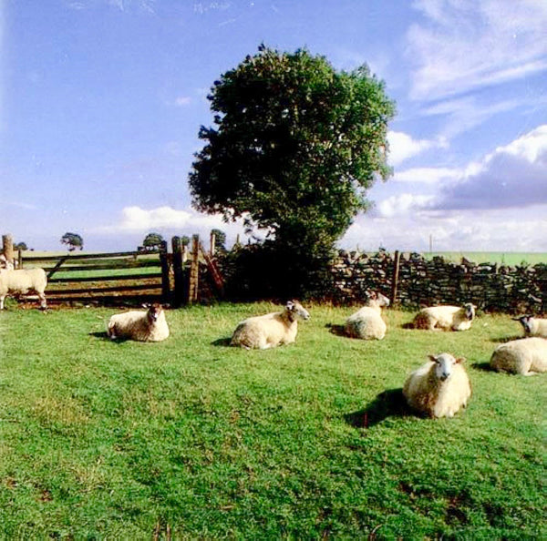 The KLF - Chill Out (Clear Vinyl LP)