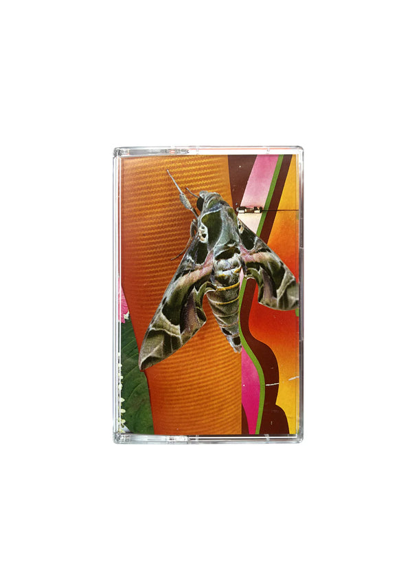 Julien Dechery - Warmth In Cool (CS)