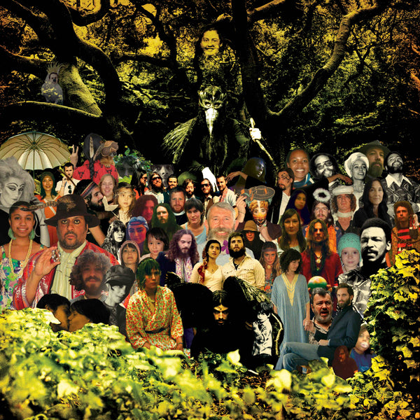 【新品未開封】DEVENDRA BANHART Cripple Crow LP Devendra Banhart - Cripple Crow (20th Anniversary Deluxe Edition