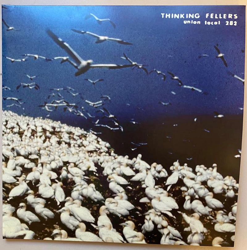 Thinking Fellers Union Local 282 - These Things Remain Unassigned (singles, compilation tracks, rarities & unreleased recordings) (2LP)